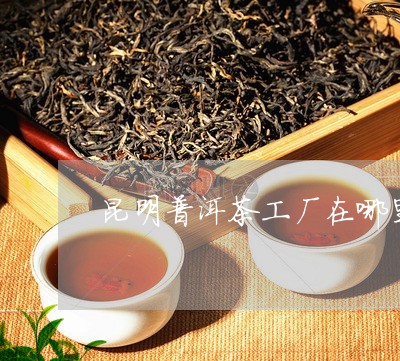 昆明普洱茶工厂在哪里/2023062983693