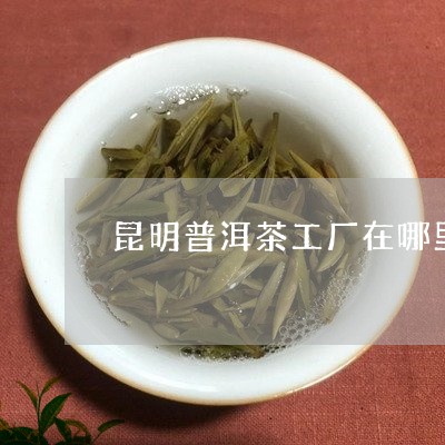 昆明普洱茶工厂在哪里啊/2023082940580