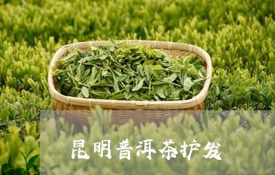 昆明普洱茶护发/2023121659692