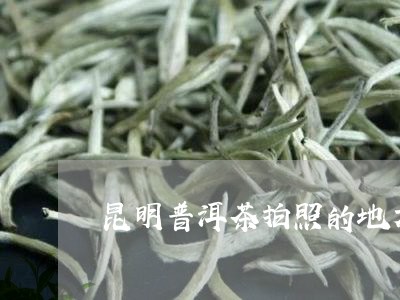 昆明普洱茶拍照的地方/2023080256269