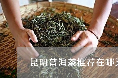 昆明普洱茶推荐在哪买好/2023081450483