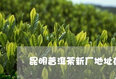 昆明普洱茶新厂地址在哪里/2023121620313