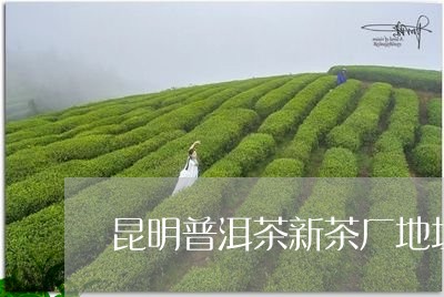 昆明普洱茶新茶厂地址在哪里/2023110608240