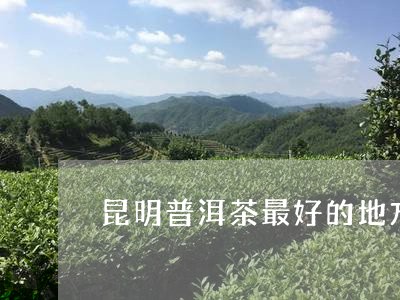 昆明普洱茶最好的地方/2023080237416