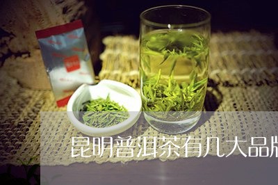 昆明普洱茶有几大品牌茶叶/2023121681727