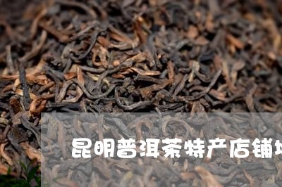 昆明普洱茶特产店铺地址/2023050587482