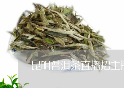 昆明普洱茶直播招主播/2023101755250