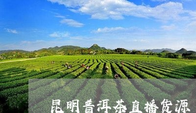 昆明普洱茶直播货源/2023120505836