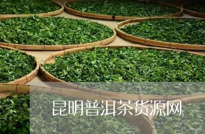 昆明普洱茶货源网/2023082937471