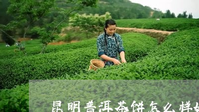 昆明普洱茶饼怎么样好喝吗/2023112547359