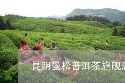 昆明曼松普洱茶旗舰店/2023072354158