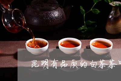 昆明有品质的白茶茶叶店/2023102619260