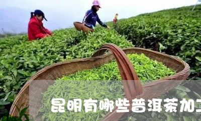 昆明有哪些普洱茶加工厂/2023110317273