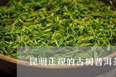 昆明正规的古树普洱茶在哪里买/2023082909573