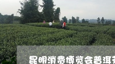 昆明消费博览会普洱茶/2023120648382