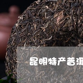 昆明特产普洱茶去哪买/2023062393027