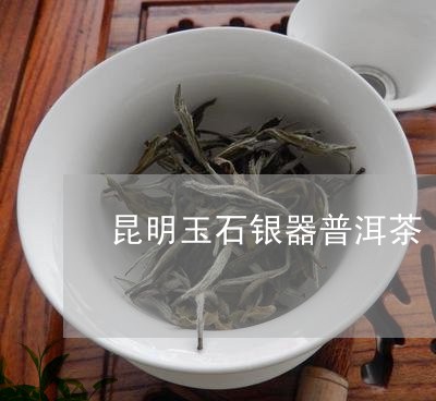 昆明玉石银器普洱茶/2023101763816