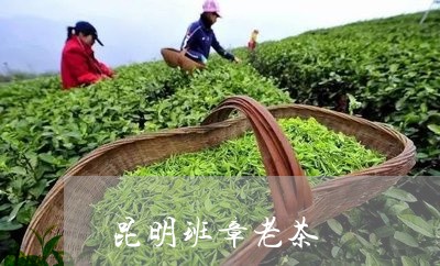 昆明班章老茶/2023090730485