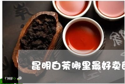 昆明白茶哪里最好卖的/2023100228471