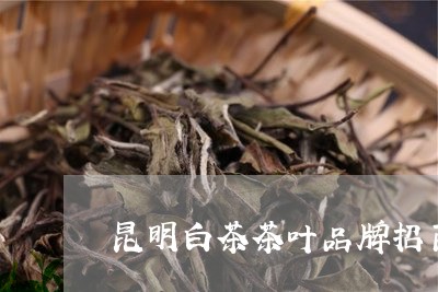 昆明白茶茶叶品牌招商/2023100274947