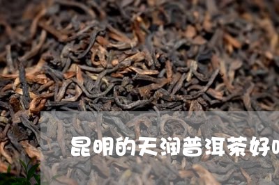 昆明的天润普洱茶好吗/2023062331713