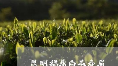 昆明福鼎白茶寿眉/2023062101704