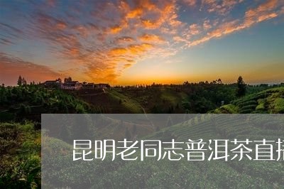 昆明老同志普洱茶直播/2023100525027