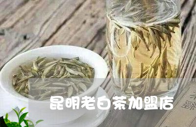 昆明老白茶加盟店/2023062161594