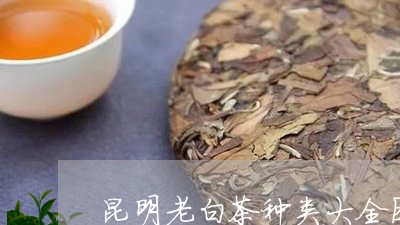 昆明老白茶种类大全图册/2023102629481