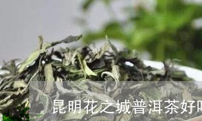 昆明花之城普洱茶好吗/2023100752935