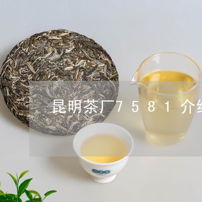 昆明茶厂7581介绍/2023092159592