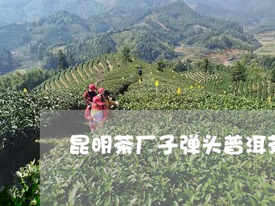 昆明茶厂子弹头普洱茶/2023092716068