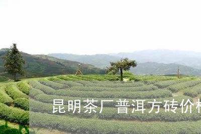 昆明茶厂普洱方砖价格/2023061399603