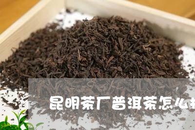 昆明茶厂普洱茶怎么样/2023062961726