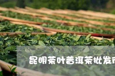 昆明茶叶普洱茶批发市场/2023121691416