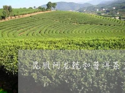 昆明阿龙兢和普洱茶直播/2023082502704