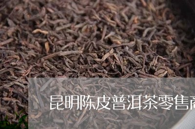 昆明陈皮普洱茶零售商家/2023102557693