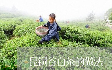 昆铜谷白茶的做法/2023062190614