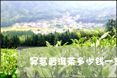 昊茗普洱茶多少钱一盒/2023092684817