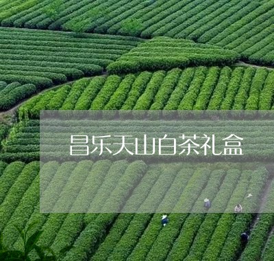 昌乐天山白茶礼盒/2023062175980