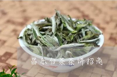 昌乐白茶茶饼招商/2023062196361