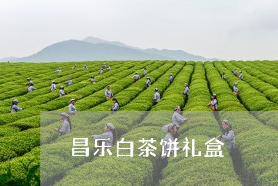 昌乐白茶饼礼盒/2023060118259