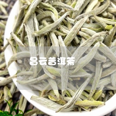 昌云普洱茶/2023090695383