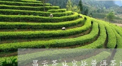 昌云茶业宫廷普洱茶饼/2023073042939