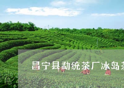 昌宁县勐统茶厂冰岛茶/2023092365460