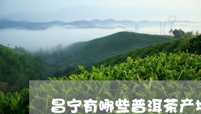 昌宁有哪些普洱茶产地/2023110316249