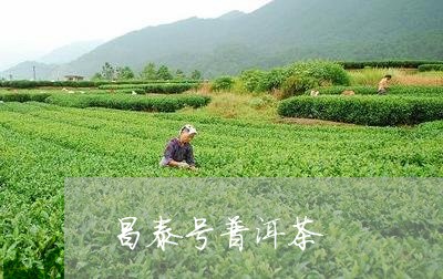 昌泰号普洱茶/2023042926401