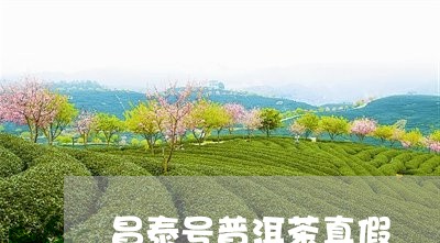 昌泰号普洱茶真假/2023082977262