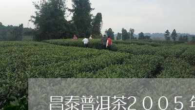 昌泰普洱茶2005年/2023100611716