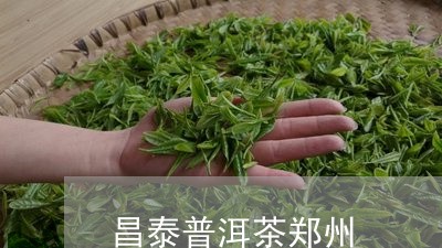 昌泰普洱茶郑州/2023110909582